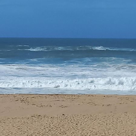 Plage Et Foret Pobral Kültér fotó