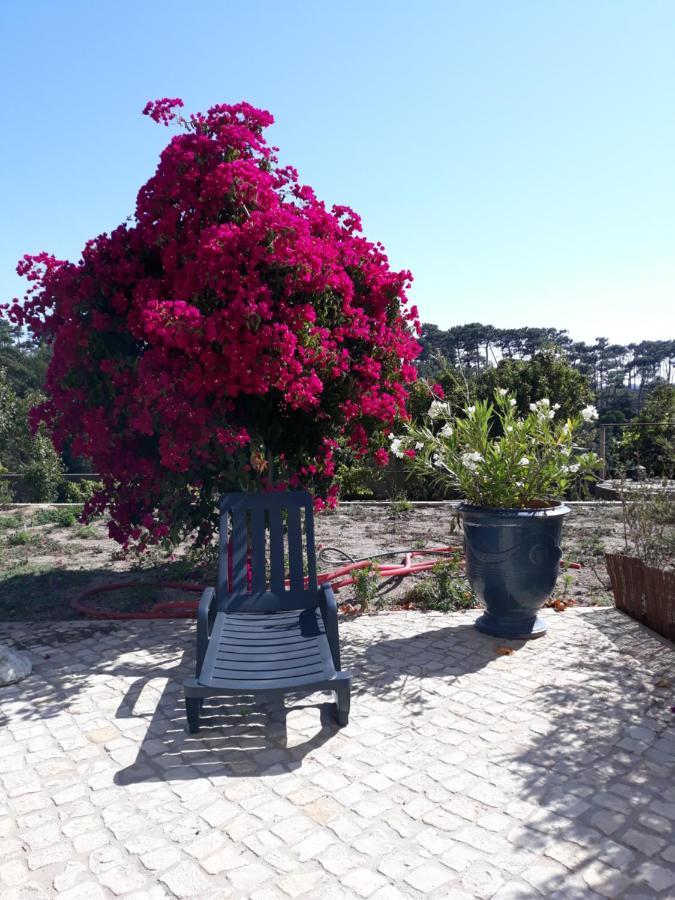 Plage Et Foret Pobral Kültér fotó