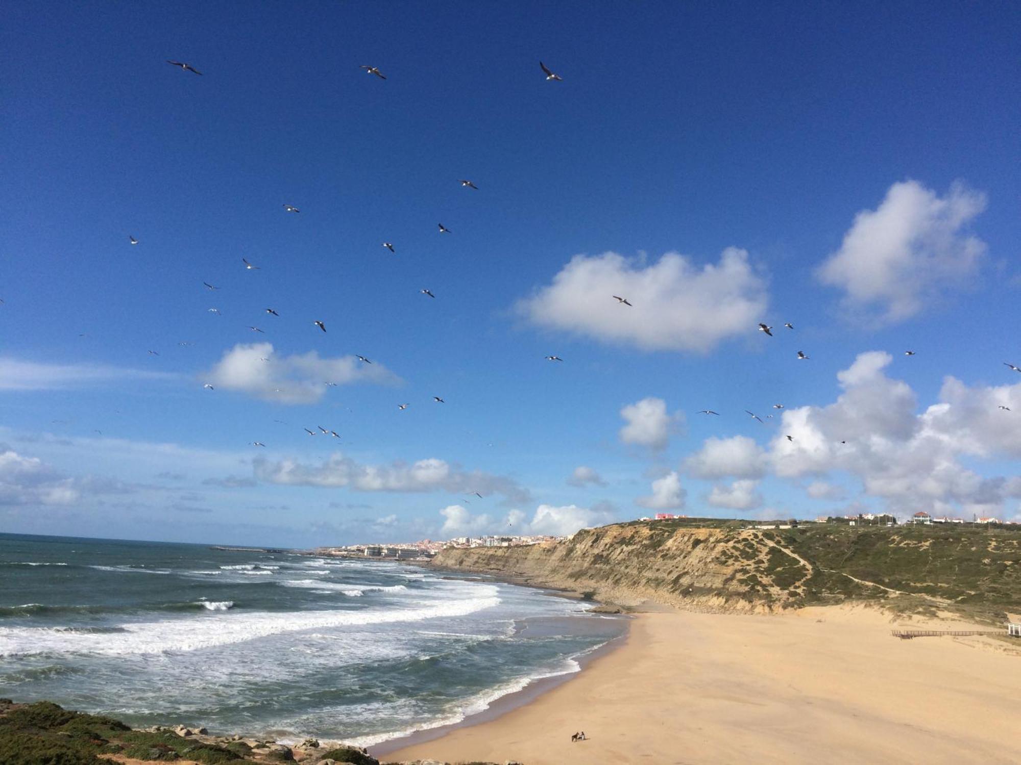 Plage Et Foret Pobral Kültér fotó
